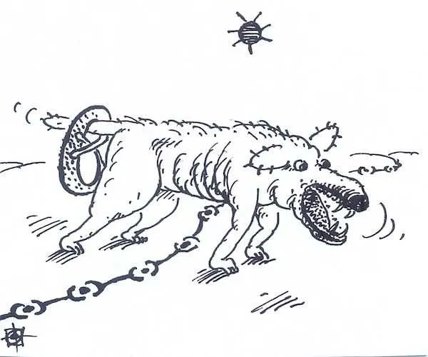 caricatura zilei