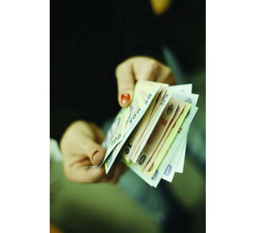 Marcarea profiturilor depreciază leul
