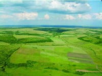Suprafaţa destinată agriculturii ecologice a scăzut de patru ori