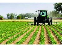 Fermierii care cedează exploataţia agricolă pot primi 1.500 euro/an, până în decembrie 2020
