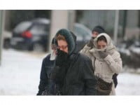 Cel mai frig a fost la Zvoriştea: minus 23,1 grade Celsius