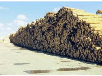„Nu cred că e normal ca un judeţ cu jumătate de milion de hectare de păduri să-şi pună problema crizei lemnului de foc”