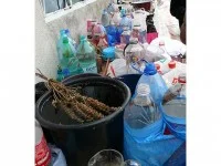 Slujbele de Bobotează vor fi păzite de jandarmii suceveni