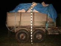 Camion cu aproape 89.000 de pachete de ţigări de contrabandă abandonat în zona de frontieră de la Frătăuţii Noi