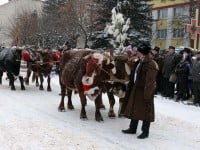 „Porniţi plugul Feţi-Frumoşi !”, un festival care promovează tradiţiile