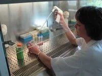 Gripa de la Suceava, confirmată şi de laborator