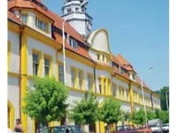 Săptămâna începe cu patru cărţi