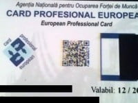 Ajutor de şomaj pe card
