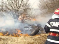 Opt incendii de vegetaţie uscată, într-o sigură zi