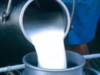 Sute de litri de lapte ai unui producător sucevean au fost retraşi din consum