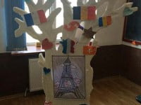 „Nous sommes francophons”