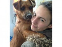 Alte 50 de animale de companie sterilizate gratuit 