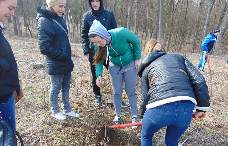 plantat-copaci-535