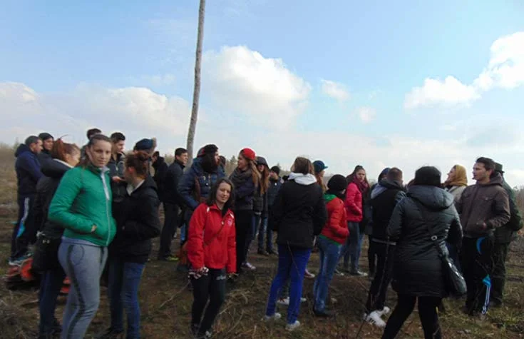 plantat-copaci-551