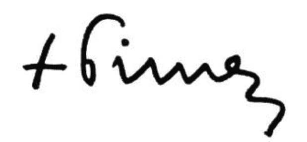 semnatura-PIMENs