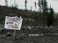 Cel mai mare protest împotriva despăduririlor abuzive