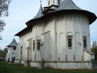 Sora cea mică a Putnei