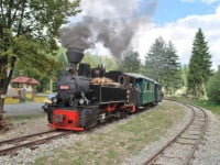 Un bărbat a aruncat cu pietre în mocăniţă, apoi a spart roţile maşinilor turiştilor