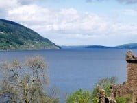 Monstrul din Loch Ness ar putea fi doar un peşte gigantic