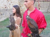 Festivalul de Artă Medievală „Ştefan cel Mare”