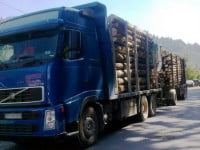 „Actuala criză a lemnului nu a fost provocată de forestieri”