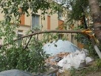 „Gospodarii” de pe Mărăşeşti
