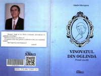 Vasile Moroşanu, vinovatul din oglindă