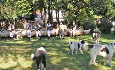 campulung 2015