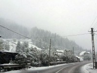 Ploi, lapoviţă şi ninsori viscolite