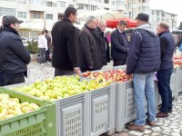 La Fălticeni, a XII-a ediţie a Târgului Mărului