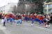Cerbul de la Costesti Iasi