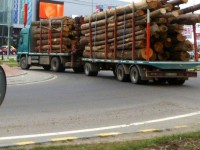 Transportatorii de masă lemnoasă distrug drumurile sucevene