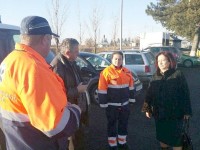 Gripa porcină, la graniţa Sucevei cu Ucraina
