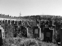 O istorie scrisă în piatră. Cimitirele evreieşti din Siret (2)