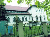 Fondul forestier de stat sucevean, atacat de dăunători pe 30% din suprafaţă