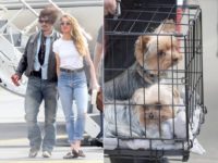 Pedeapsă uşoară pentru soţia lui Johnny Depp în dosarul introducerii ilegale a câinilor săi în Australia