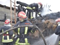Patru gospodării afectate de un incendiu violent, la Arbore