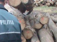 Dosar penal, amendă de 5.000 lei, 15 mc de cherestea şi o maşină, confiscate