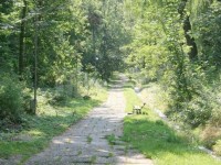 Transferarea parcului Şipote la Primăria Suceava, îngreunată de chichiţe procedurale