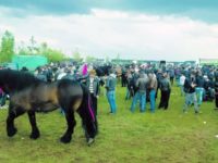 Peste opt mii de persoane au participat la Târgul de cai de la Horodnic de Sus