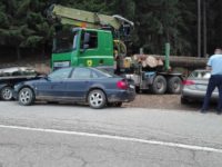 Echipă a Gărzii Forestiere Suceava blocată cu trei maşini şi agresată de proprietarul unei păduri din Ciumârna