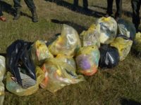 Suceava, pe locul 5 în ţară în topul înscrierilor pentru Ziua de Curăţenie Naţională de pe 15 septembrie
