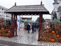 Sărbătoarea merelor de Fălticeni