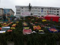 A XIV-a ediţie a evenimentului anual Târgul Mărului
