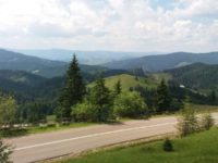 Arhiepiscopia Sucevei şi Rădăuţilor precizează