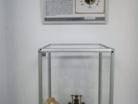 Expoziţie la Muzeul de Istorie „Unirea Principatelor Române – 24 ianuarie 1859”