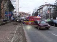 Trei oameni, la un pas să fie striviţi, în maşină, de un copac doborât de vânt