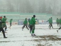Foresta Suceava, la startul celei de-a doua părţi a pregătirilor de iarnă