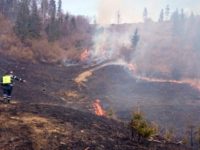 Numărul incendiilor în pădurile de stat, în creştere