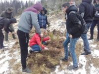 Pădure nouă plantată de elevii de la CTIA Suceava